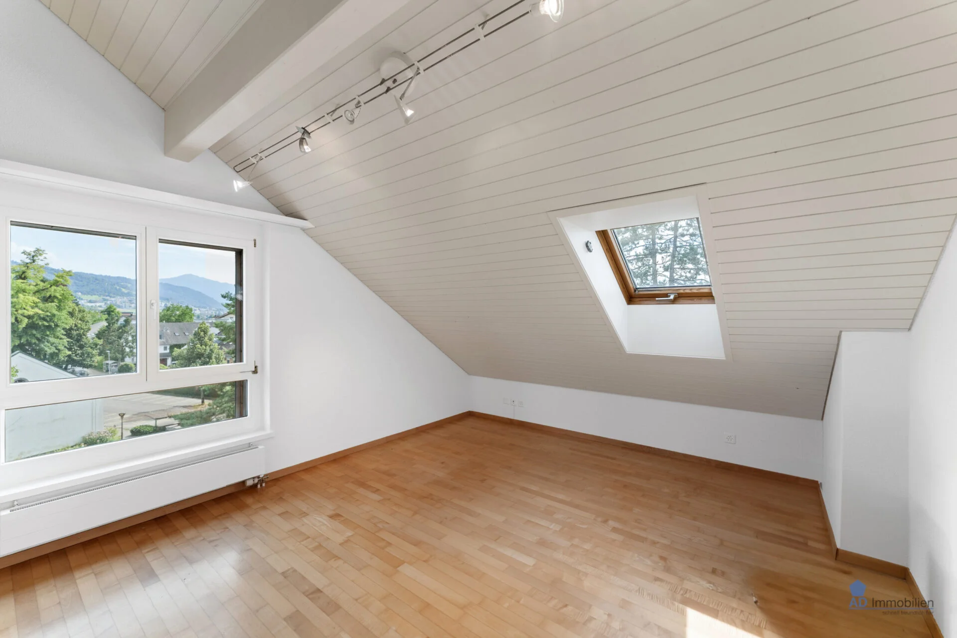 3.5zimmerwohnung baar zug 2